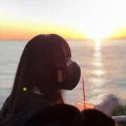 ほごねこ 明日いるよ🐾 晴れんち