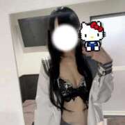 ヒメ日記 2026/01/29 12:20 投稿 ほごねこ 晴れんち