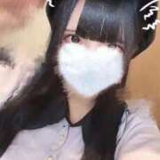 ヒメ日記 2026/02/03 23:10 投稿 ほごねこ 晴れんち