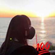 ヒメ日記 2026/02/04 21:20 投稿 ほごねこ 晴れんち