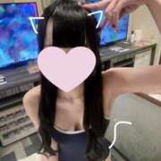 ヒメ日記 2026/02/11 14:50 投稿 ほごねこ 晴れんち