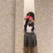 ヒメ日記 2026/02/11 19:50 投稿 ほごねこ 晴れんち