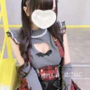 ヒメ日記 2026/02/14 12:50 投稿 ほごねこ 晴れんち