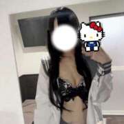 ヒメ日記 2026/02/21 12:50 投稿 ほごねこ 晴れんち