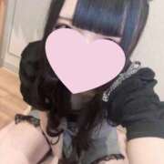 ヒメ日記 2026/03/06 12:50 投稿 ほごねこ 晴れんち