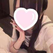 ヒメ日記 2026/03/19 12:30 投稿 ほごねこ 晴れんち