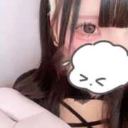 ヒメ日記 2026/03/29 12:50 投稿 ほごねこ 晴れんち