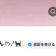 ヒメ日記 2026/04/06 20:30 投稿 ほごねこ 晴れんち