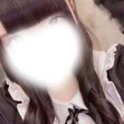 ほごねこ 👁 晴れんち