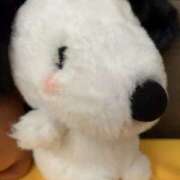 ヒメ日記 2025/11/03 13:55 投稿 みずき 奥さまさくら京橋店