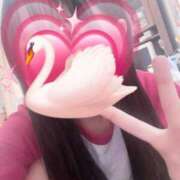 ヒメ日記 2025/07/09 18:13 投稿 はるか 越谷発デリヘル 生イキッ娘！