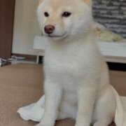 ヒメ日記 2025/07/08 21:02 投稿 丹後 光夏 MADAM RENA 名古屋