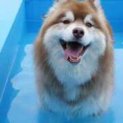 ヒメ日記 2025/07/17 23:32 投稿 丹後 光夏 MADAM RENA 名古屋