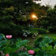 ヒメ日記 2025/07/21 06:02 投稿 丹後 光夏 MADAM RENA 名古屋