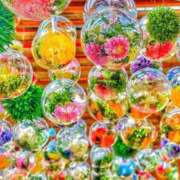 ヒメ日記 2025/07/25 03:12 投稿 丹後 光夏 MADAM RENA 名古屋