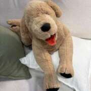 ヒメ日記 2025/07/28 12:22 投稿 丹後 光夏 MADAM RENA 名古屋