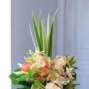 ヒメ日記 2025/07/28 17:22 投稿 丹後 光夏 MADAM RENA 名古屋