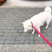 ヒメ日記 2025/08/13 13:02 投稿 丹後 光夏 MADAM RENA 名古屋