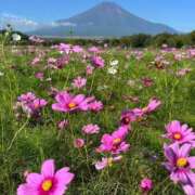 ヒメ日記 2025/08/23 15:02 投稿 丹後 光夏 MADAM RENA 名古屋