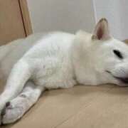 ヒメ日記 2025/08/28 00:42 投稿 丹後 光夏 MADAM RENA 名古屋