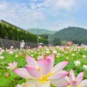 ヒメ日記 2025/09/02 12:52 投稿 丹後 光夏 MADAM RENA 名古屋