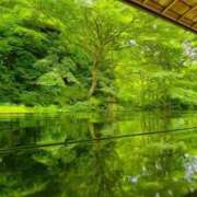 ヒメ日記 2025/09/08 04:22 投稿 丹後 光夏 MADAM RENA 名古屋