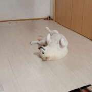 ヒメ日記 2025/09/10 22:02 投稿 丹後 光夏 MADAM RENA 名古屋