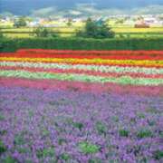 ヒメ日記 2025/09/12 12:03 投稿 丹後 光夏 MADAM RENA 名古屋