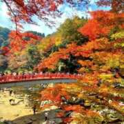 ヒメ日記 2025/09/16 16:42 投稿 丹後 光夏 MADAM RENA 名古屋