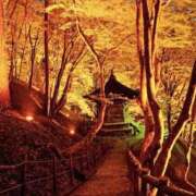 ヒメ日記 2025/09/19 09:52 投稿 丹後 光夏 MADAM RENA 名古屋