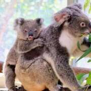 ヒメ日記 2025/09/25 12:23 投稿 丹後 光夏 MADAM RENA 名古屋