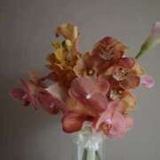 ヒメ日記 2025/09/25 19:30 投稿 丹後 光夏 MADAM RENA 名古屋