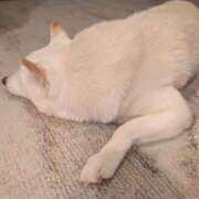 ヒメ日記 2025/09/26 05:52 投稿 丹後 光夏 MADAM RENA 名古屋