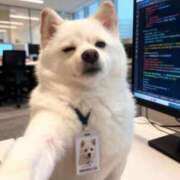 ヒメ日記 2025/09/27 11:02 投稿 丹後 光夏 MADAM RENA 名古屋