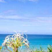 ヒメ日記 2025/10/02 08:52 投稿 丹後 光夏 MADAM RENA 名古屋