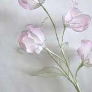 ヒメ日記 2025/10/04 10:42 投稿 丹後 光夏 MADAM RENA 名古屋