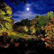 ヒメ日記 2025/10/06 21:12 投稿 丹後 光夏 MADAM RENA 名古屋