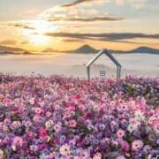 ヒメ日記 2025/10/18 15:22 投稿 丹後 光夏 MADAM RENA 名古屋