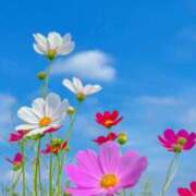 ヒメ日記 2025/10/23 07:22 投稿 丹後 光夏 MADAM RENA 名古屋