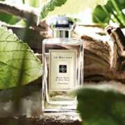 ヒメ日記 2025/10/25 10:52 投稿 丹後 光夏 MADAM RENA 名古屋