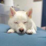 ヒメ日記 2025/10/29 18:02 投稿 丹後 光夏 MADAM RENA 名古屋