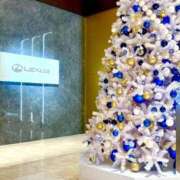 ヒメ日記 2025/11/15 23:32 投稿 丹後 光夏 MADAM RENA 名古屋