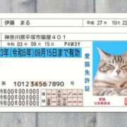 ヒメ日記 2025/11/20 14:32 投稿 丹後 光夏 MADAM RENA 名古屋