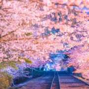 丹後 光夏 I'm indebted to you MADAM RENA 名古屋