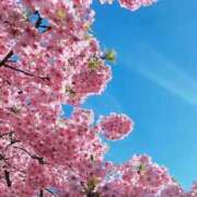 ヒメ日記 2026/04/11 21:32 投稿 丹後 光夏 MADAM RENA 名古屋