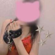 ヒメ日記 2025/12/19 19:30 投稿 ゆめ 夜這い茶屋 はなれ