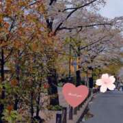 ゆめ お礼です 夜這い茶屋 はなれ