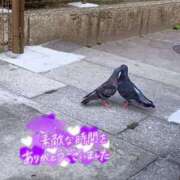 ヒメ日記 2025/07/20 08:49 投稿 あおい 鶯谷おかあさん