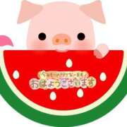 ヒメ日記 2025/08/09 11:59 投稿 あおい 鶯谷おかあさん