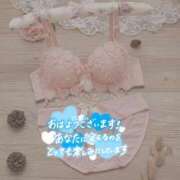 ヒメ日記 2025/08/12 12:29 投稿 あおい 鶯谷おかあさん